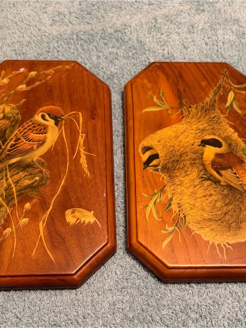 Retro Vintage Wood Panel Bird Prints Country Cottagecore Wall Decor Sparrow